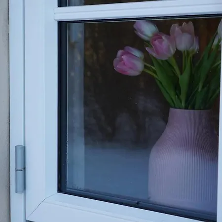 Sofiesminde Givskud Appartement